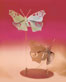 Butterfly arrangement