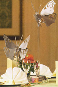 Little Ironies butterflies by Clark Photography